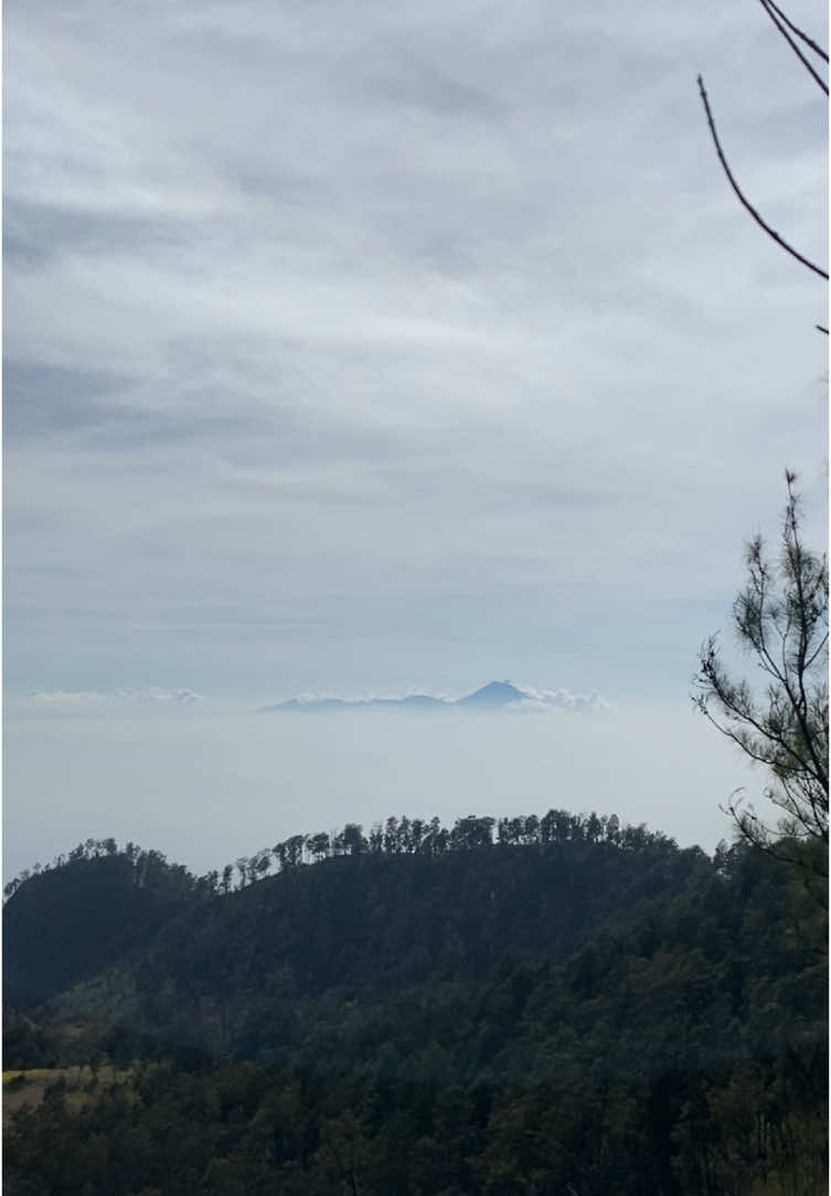 Bukit tunggangan via panderman #pendaki #pendakigunung #pendakiindonesia #pendakikeren #pendakisantai #gunung #gunungindonesia 