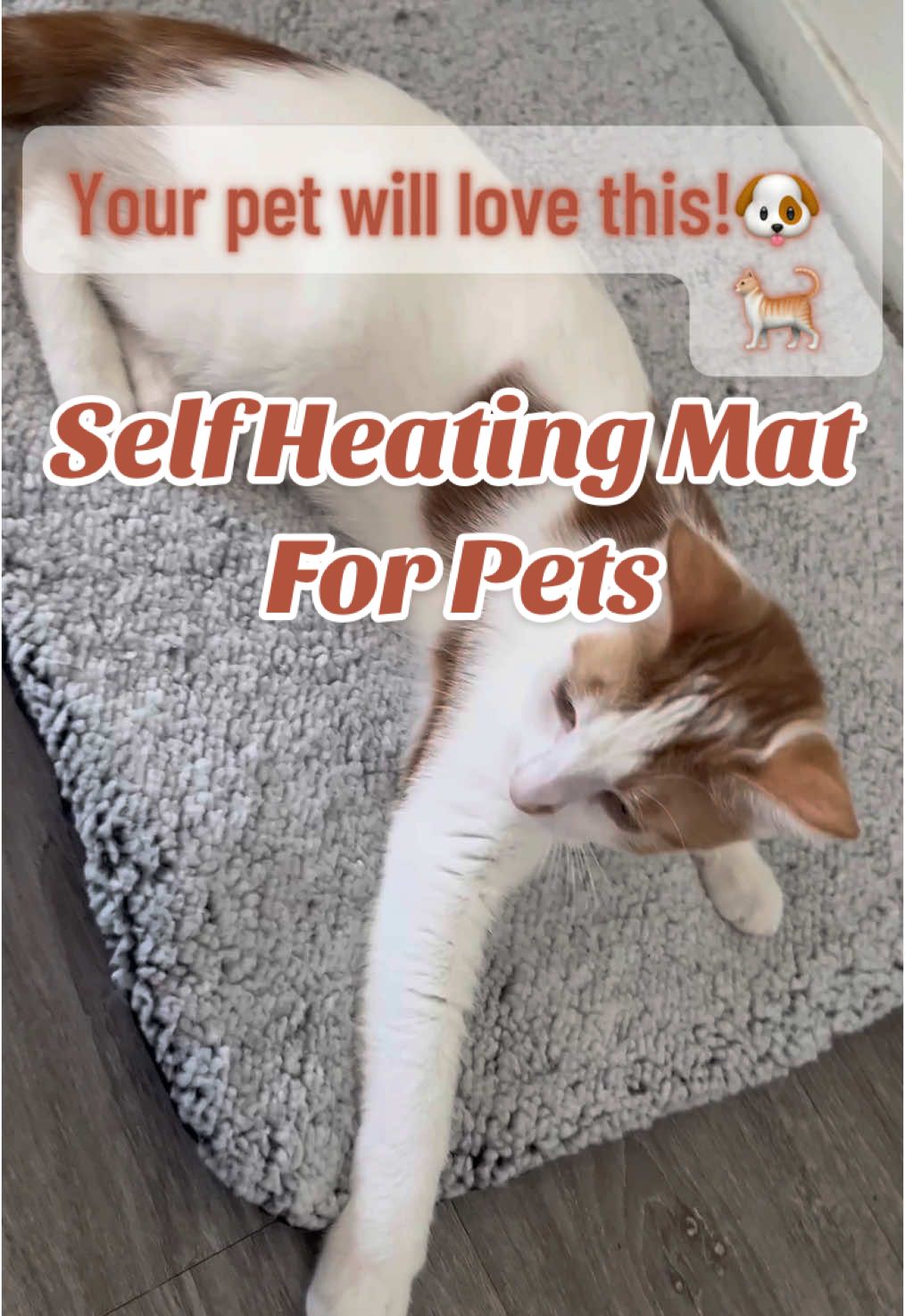 It’s winter & your bestie deserves this 🥰 #petessentials #petmat #PetsOfTikTok #catowner #dogowner 