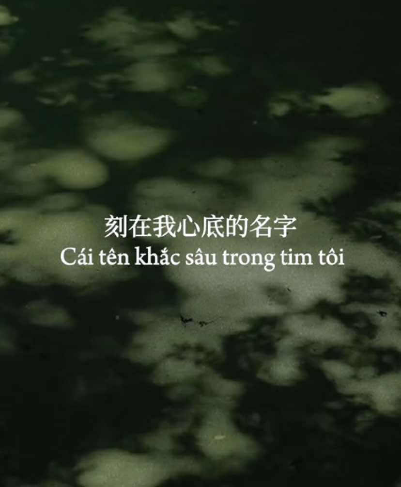 Cái Tên Khắc Sâu Trong Tim Người | Your Name Engraved Herein OST | 刻在你心底的名字 #music #lyrics #douyin #ost #foryou #wddn_nhi #xuhuong #fyp 