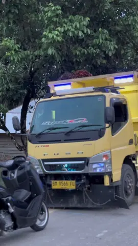 🤩😯🤩#fyp #sawit #viral #drivermuda #sawitontiktok #trukriau 
