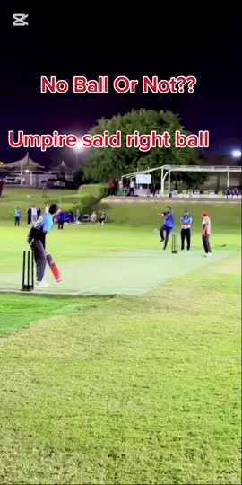 No Ball Or Not #follow #FORYOU #cricketlover #video #cricketfan #viral 