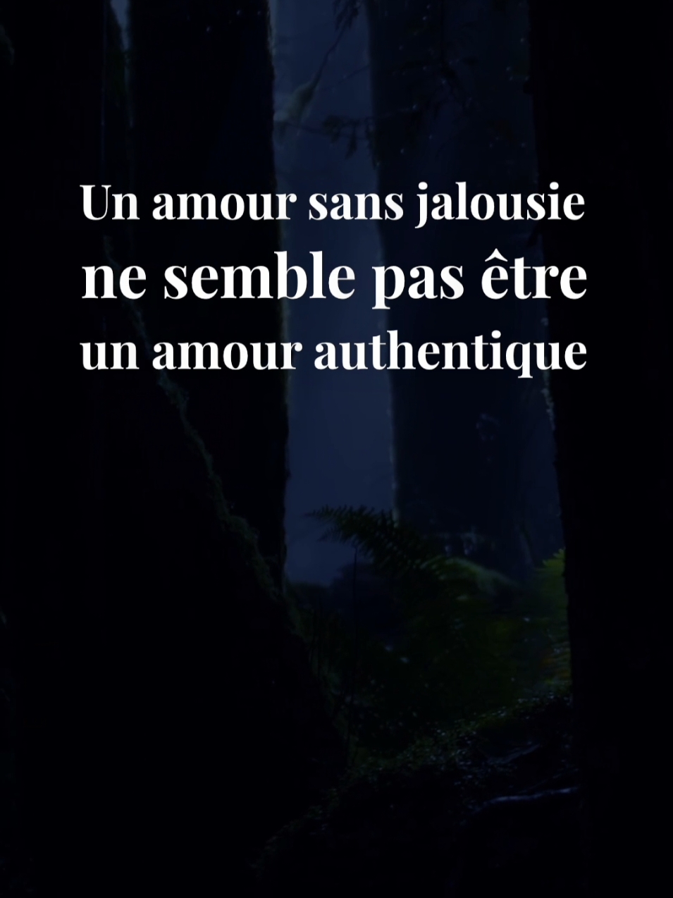 Je parle de la façon dont la jalousie est souvent considérée comme un signe d’amour authentique, mais il est important de ne pas la laisser prendre le contrôle. J’examine les causes profondes de la jalousie, comme la peur de perdre l’être cher, et je souligne l’importance de la sincérité dans une relation. #rencontre #adieux #amour #séparation #espoir #persévérance #connexion #solitude #acceptation #reconstruction #sentiment #couple #jetaime #relation #coeurbrisé #amoureux #monamour #rupture #famille #Avectoi #mavie #promesses #geste #quotidien #patience #compréhension #sincérité #tendresse #douceur #bonheur #triste #manque #positive #mindset #authentic #focus #progress #Ignore #perseverance #failure #vérité #motivation #fierte #success #sensible #sagesse #karma #avenir #developpementpersonnel #leçondevie 