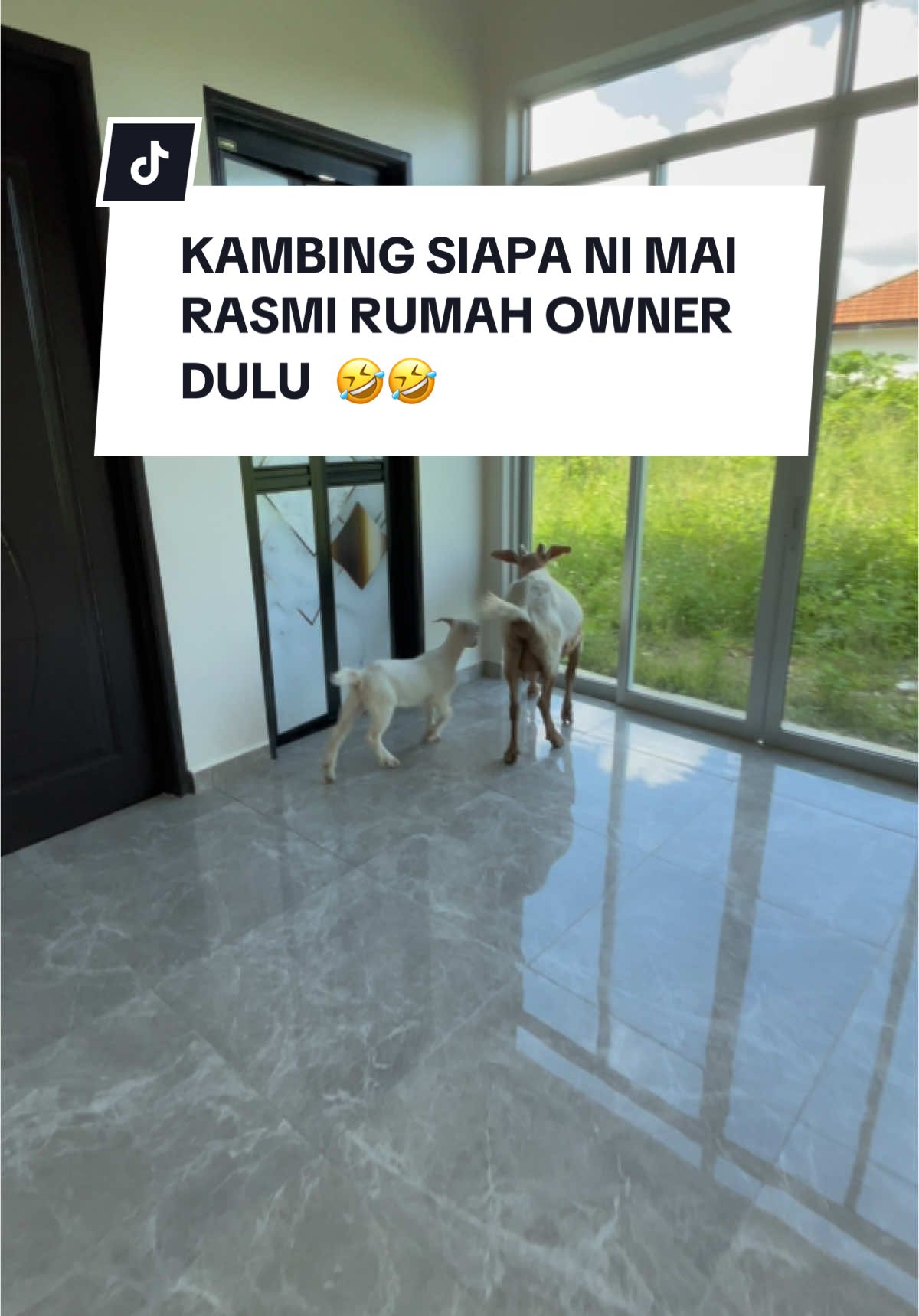 KAMBING SIAPA NI MAI  RASMI RUMAH OWNER  DULU  🤣🤣 BINA RUMAH ATAS TANAH SENDIRI HARGA RUMAH 2024 BAWA KE 2025  12x BAYAR DITERIMA 4x BAYAR DITERIMA DEPOSIT 300 #homestay #lppsaloan #kedahdarulaman🌾 #johangroup30sdnbhd #kedahdarulaman 