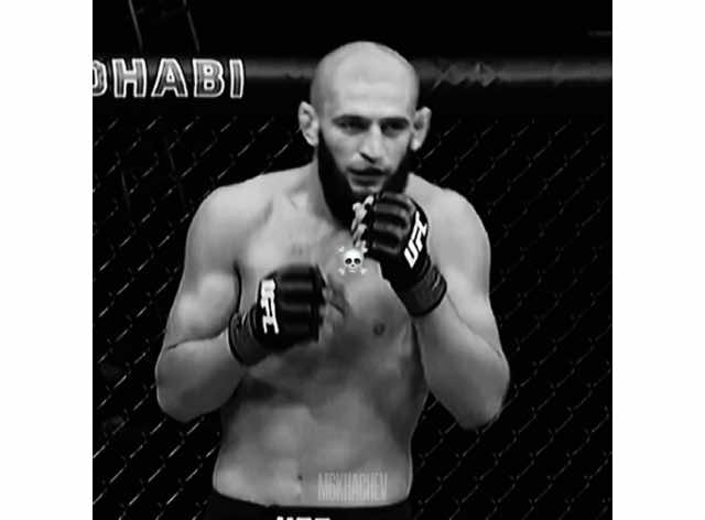 Muslim UFC Fighters☪️ #m6khachev #UFC #mma #muslim #muslimfighter #ufcedit #islammakhachev #khabib #khabibnurmagomedov #zabitmagomedsharipov #khamzatchimaev #sharabullet #fyp #foryou #foryoupage #fy #fypage #viral #xyzbca #blowup #xyzbcafypシ #viraledit #viraltiktok #fypシ゚viral #unlockmylikes #trend #trending 