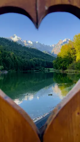 Das ist der wunderschöne Riessersee in Garmisch Partenkirchen. Mit seinen tollen Berg Panoramablick und der Wasserspiegelung ist er ein top Ausflugsziel. #officialrobert45 #natureaesthetic #naturevibes #bayernerleben #natur #nature #naturelover #mountainslover #mountain  #garmischpartenkirchen #riessersee  