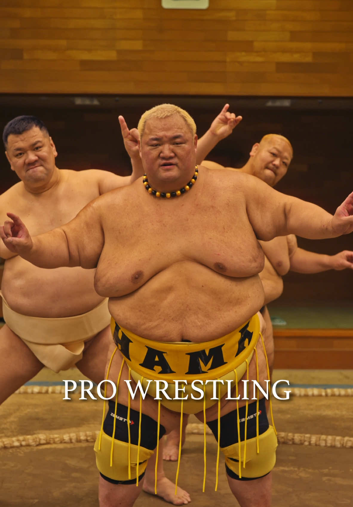 PRO WRESTlLNG✖️SUMO #Japan #trending #sumo#prowrestling 