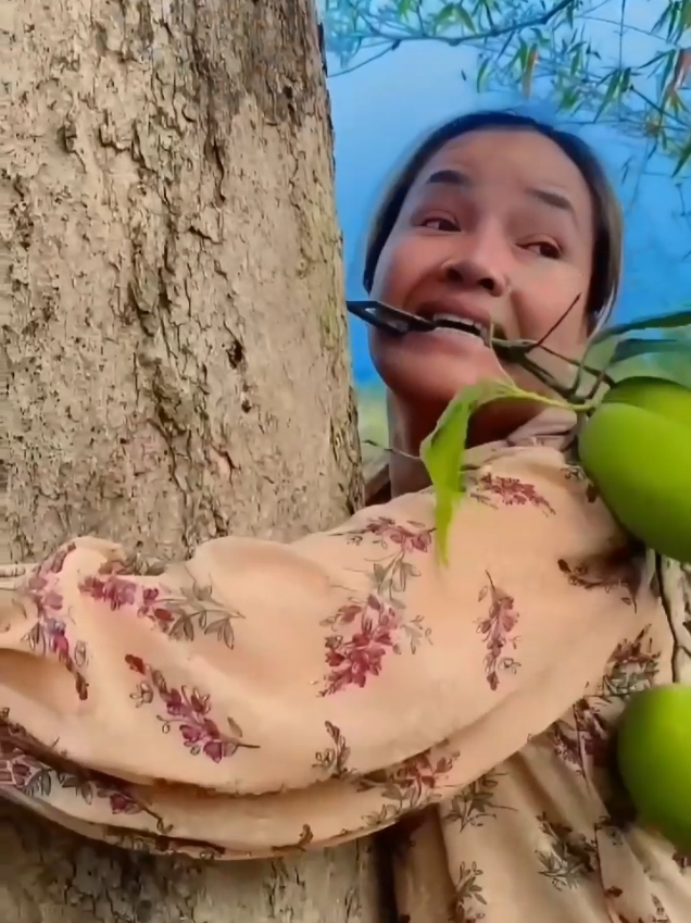 gara gara mangga😔 #suamiistri #komedi #fyp #kontenkomedi #lipsync #foryou #hiburantiktok #ngakak #hiburan #ngakakkocak #ndoyfamily 