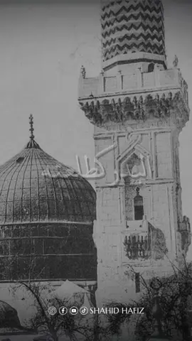 البدر كطلعته وجه جميل والشمس كبسمته ظل ظليل هو عبد الله سيد الخلق و مصطفاه وحبيب الله #مدینہ_منورہ #madinah #madina #madinahalmunawaroh #lyrics #lyricsvideo #islamicvideo #islamic #fyp #explore #viral #islam #naat #naatstatus 