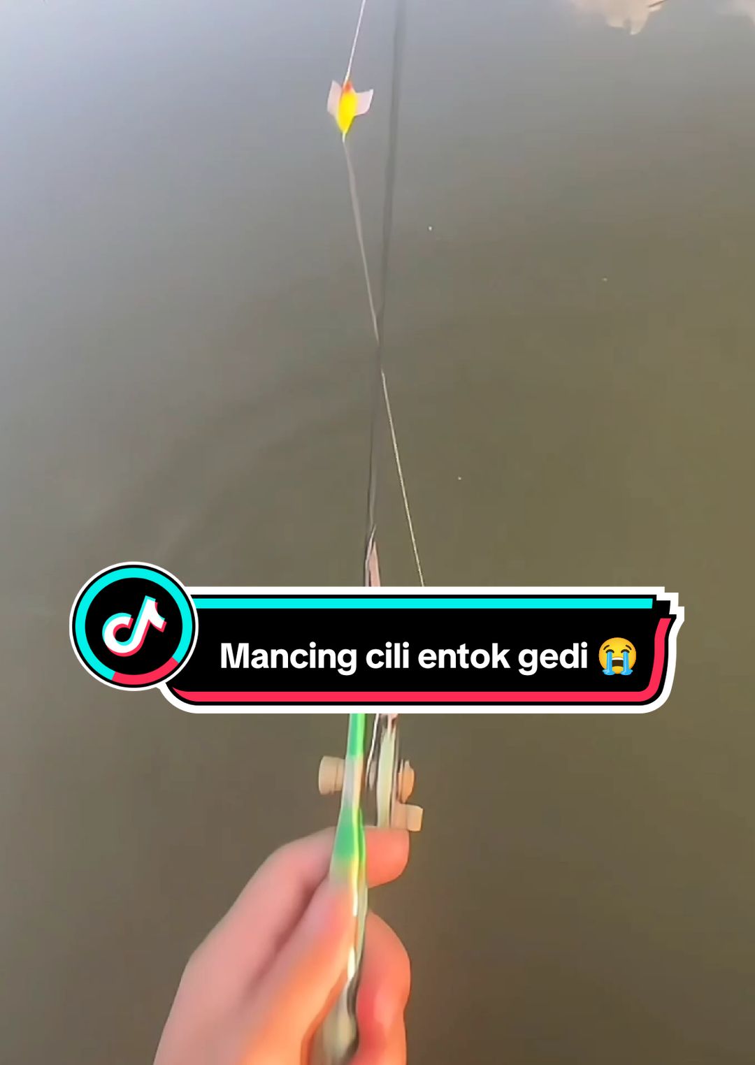 Mumet bolo  #lewatberanda #untukmu #mancing #fishing #4u #feed #mancingnila #cara #howto #bismillahfyp #bismillah #bismilahrame #semuaorang #fyp #xybca #viral #meme #viralin #nila 