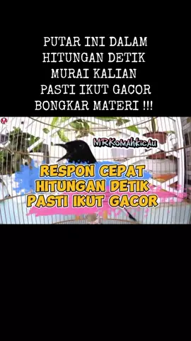 Putar ini hitungan detik murai kalian pasti gacor bongkar materi !!  #kicaumania #muraibatu #kicaumaniaindonesia #kicaumanianusantara #muraibatuindonesia 