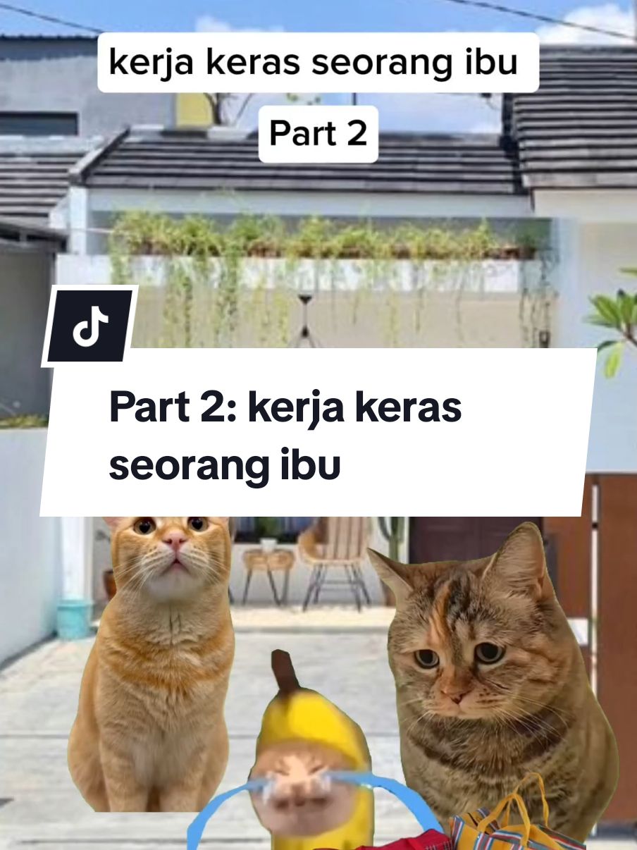 tungguin part berikutnya yah😇 . . #catsoftiktok #meme #videokucing #beranda #pov #fypppppppppppppppppppppp #sadstory #catmeme #berandatiktok #Ibu #mama 