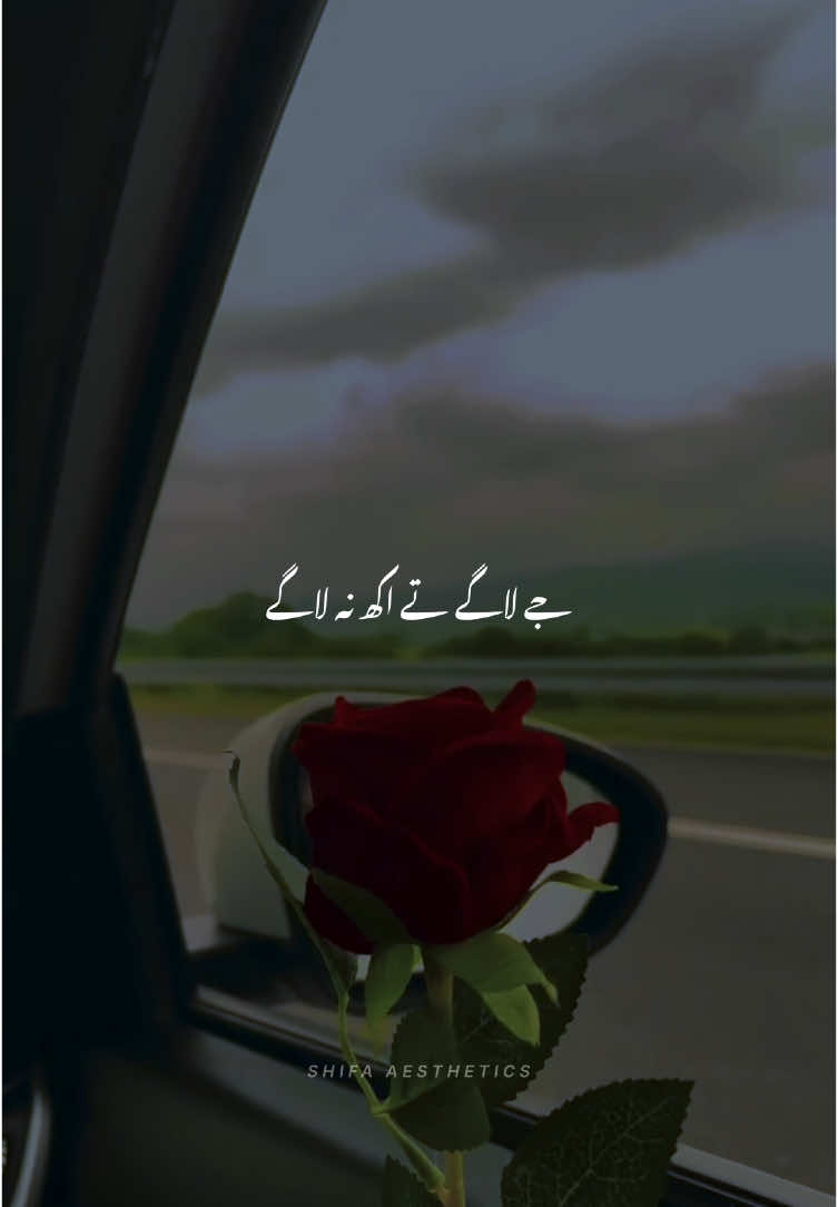 Nal tere ik ghar mein socha👀🫀|| 𝐑𝐞𝐩𝐨𝐬𝐭  𝐫𝐞𝐪𝐮𝐞𝐬𝐭 ||  #foryou #fyp #aesthetic #viral_video #darkaesthetic #trending #song #growaccount #unfreezemyacount #aestheticvibes0010 #aestheticvibes0221 #aestheticvideos #fpy #viralditiktok 