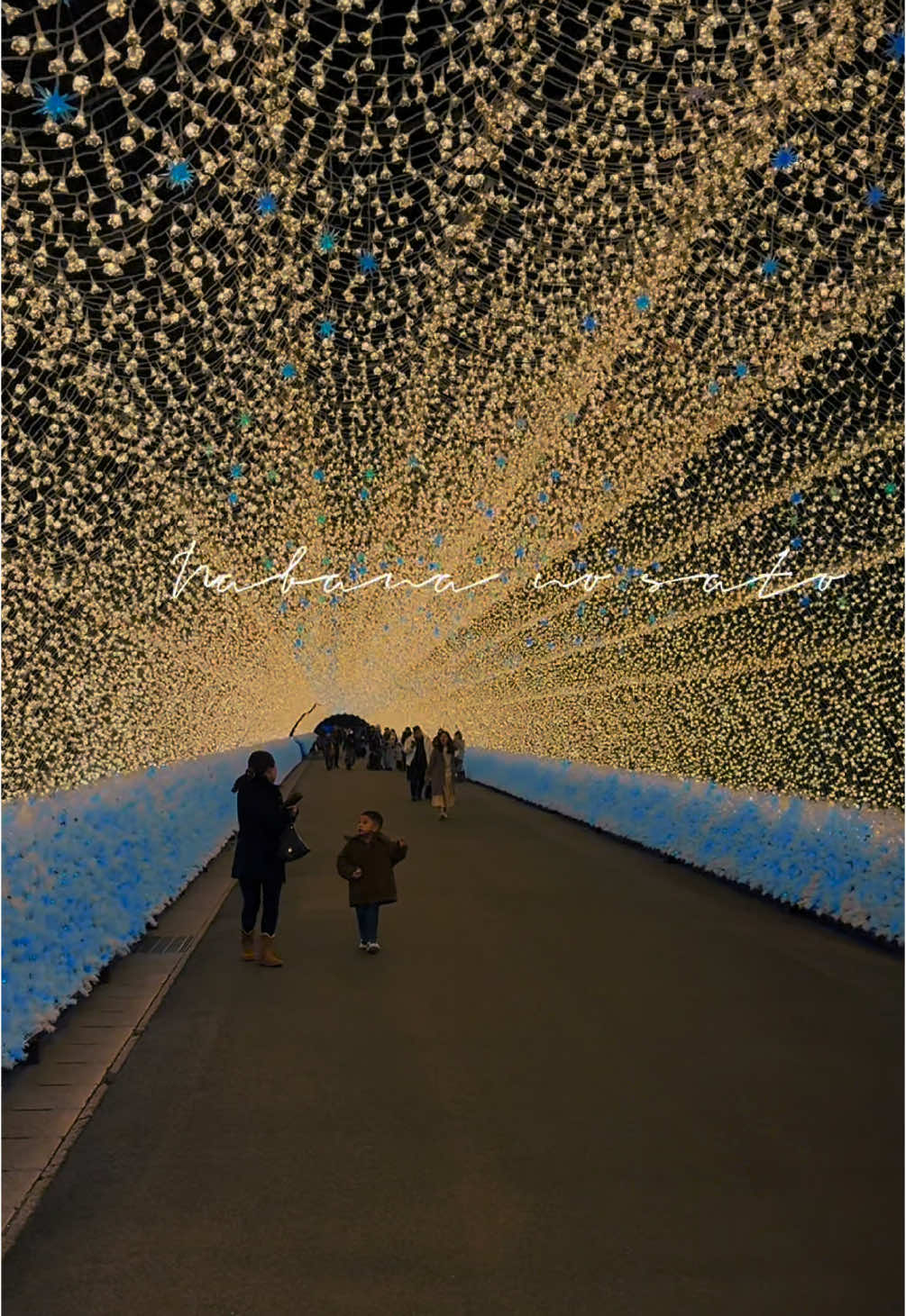 Nabana no sato , full of pretty lights 🌟#nabananosato #japantrip #mustvisit 