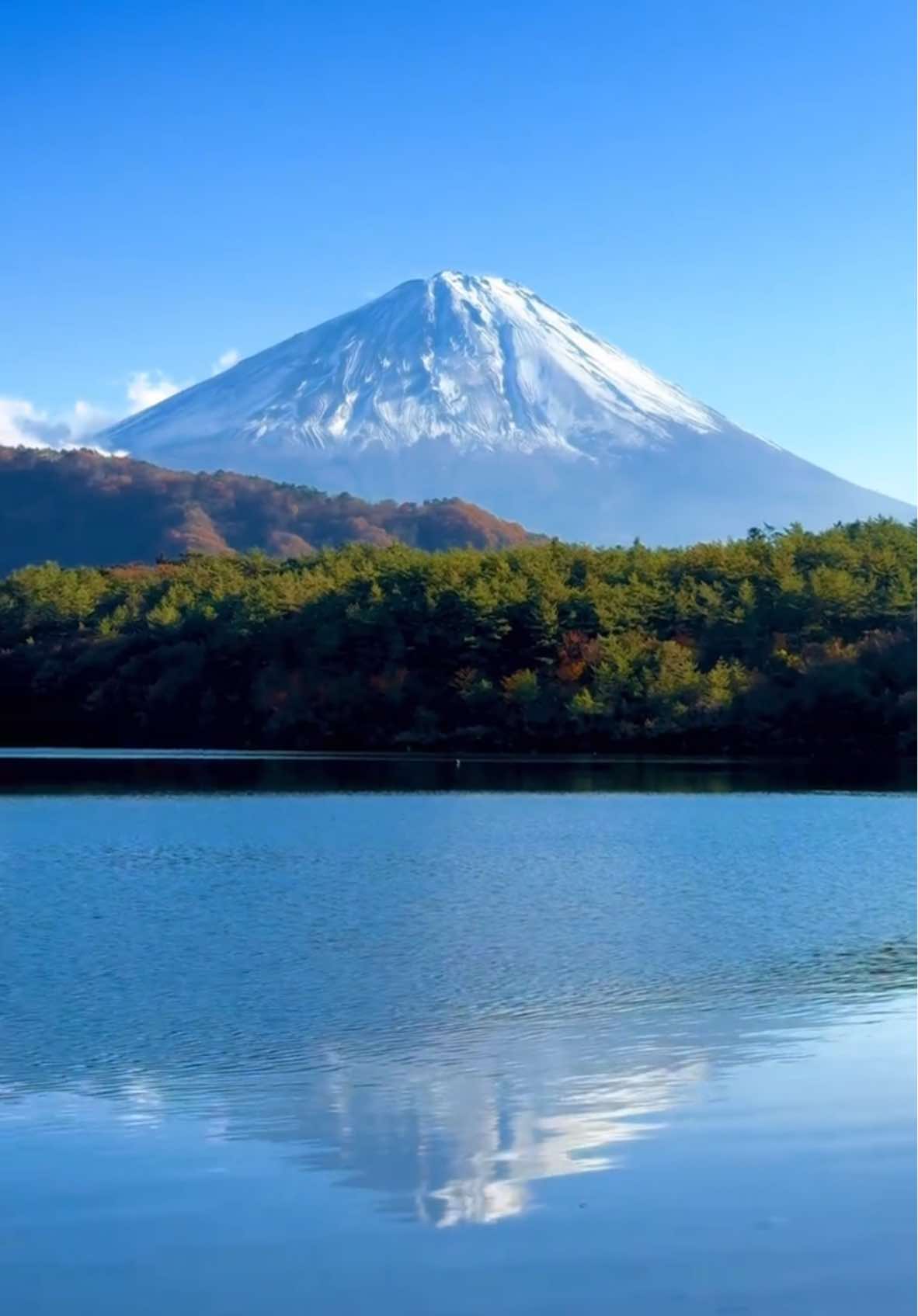 #秋 #富士山 #autumn #河口湖 #kawaguchiko #roadtrip #japan #ドライブ #紅葉 #おすすめにのりたい #creatorsearchinsights #wintervibes #fujiyama #weddingvibes #traveltiktok #japantravel #relaxmejapan #fuji 