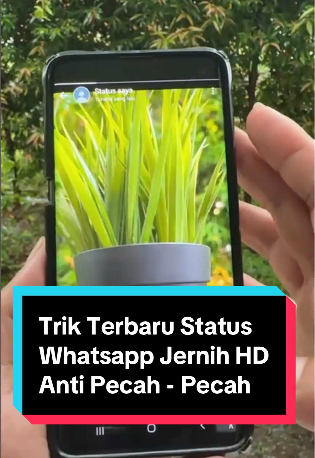 Trik Terbaru Bikin Status Whatsapp Jernih Anti Pecah - Pecah #StatusWAJernih #TrikWA #TrikWhatsapp #TipsTrik #Trending #fyp 