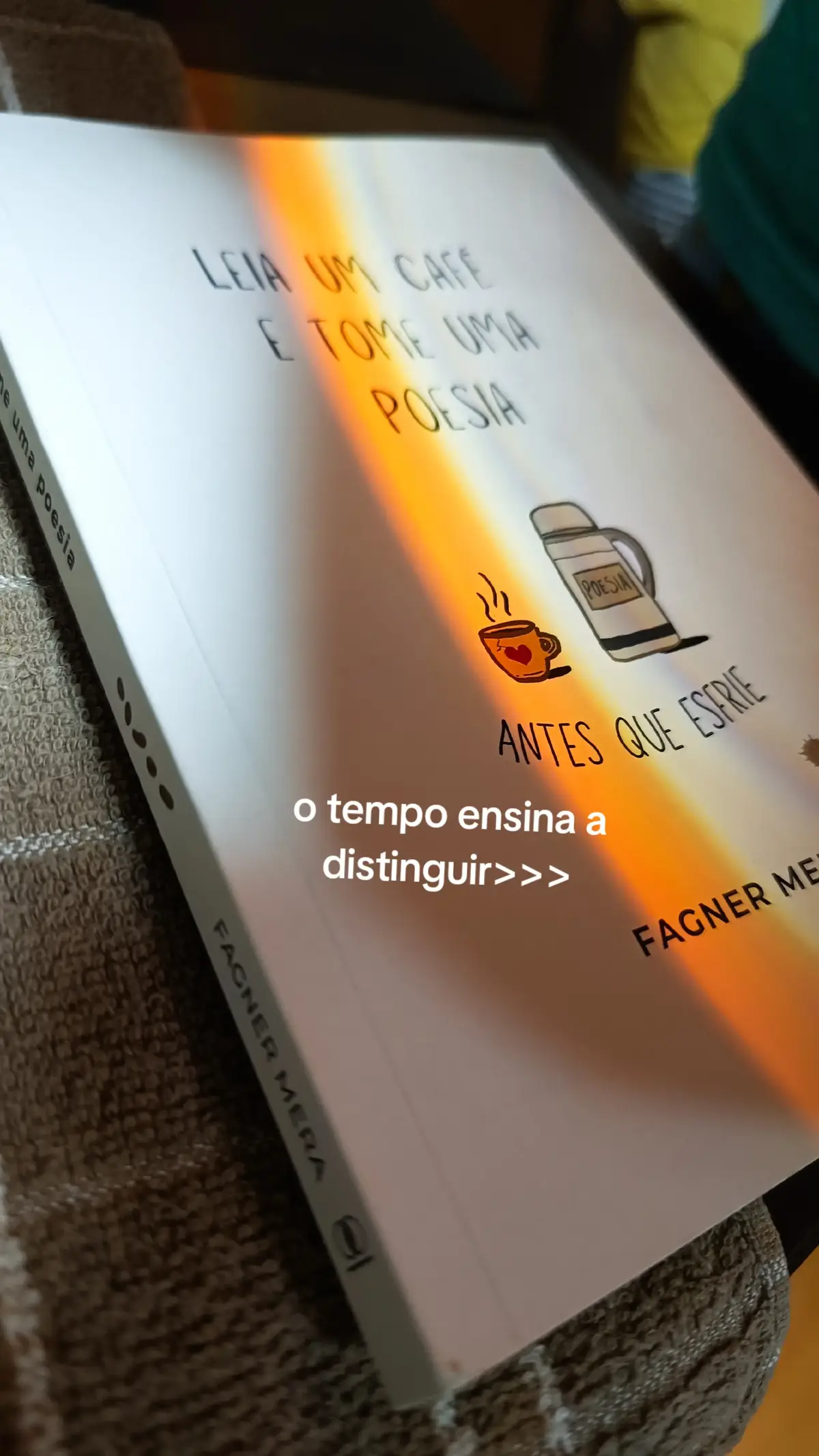 trecho do livro 