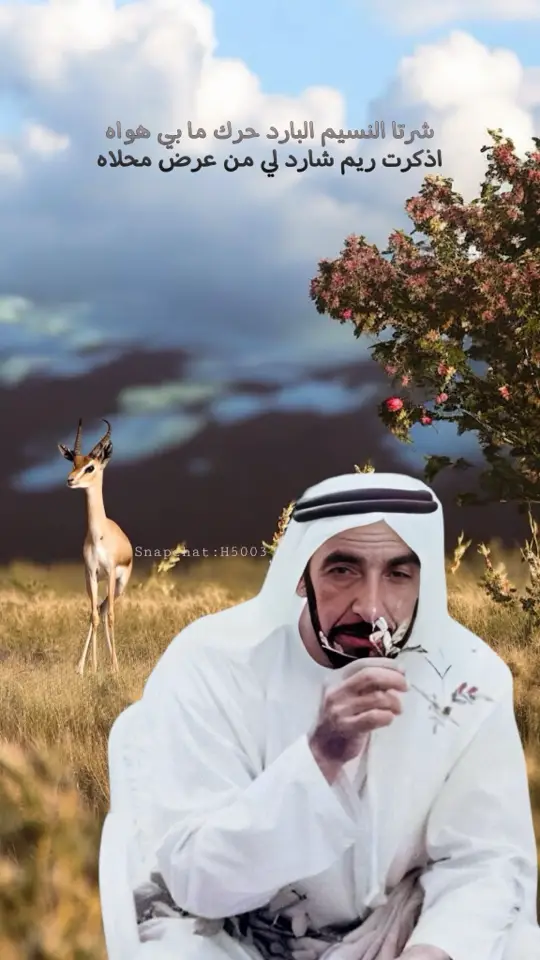 كلمات الشيخ زايد بن سلطان