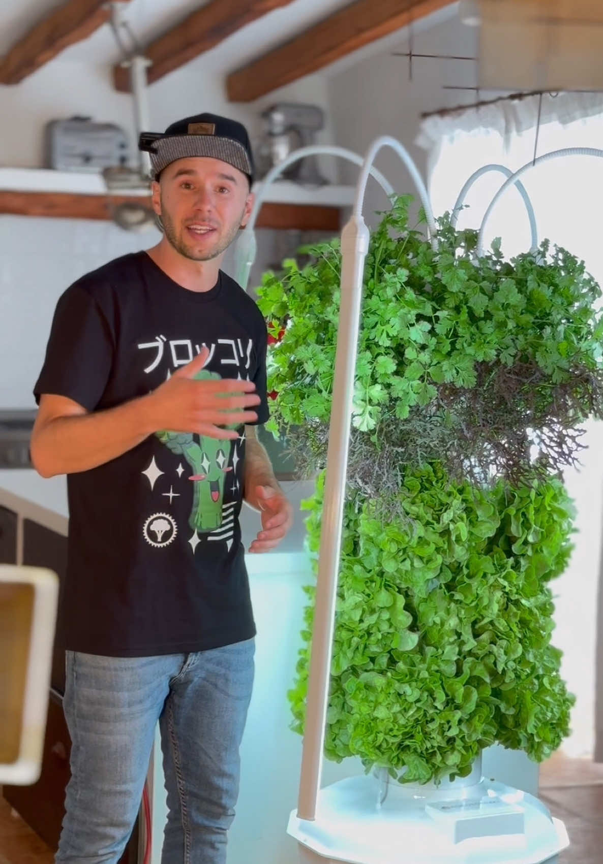 Besides the low electricity and water consumption of these aeroponic towers, the plants also grow faster and absorb nutrients more efficiently, meaning your harvest is not only fresher but packed with more flavor and nutrition compared to store-bought produce. #homegarden #kitchengarden #aeroponics #towergarden #urbangarden #hydroponics #soilless #gardening