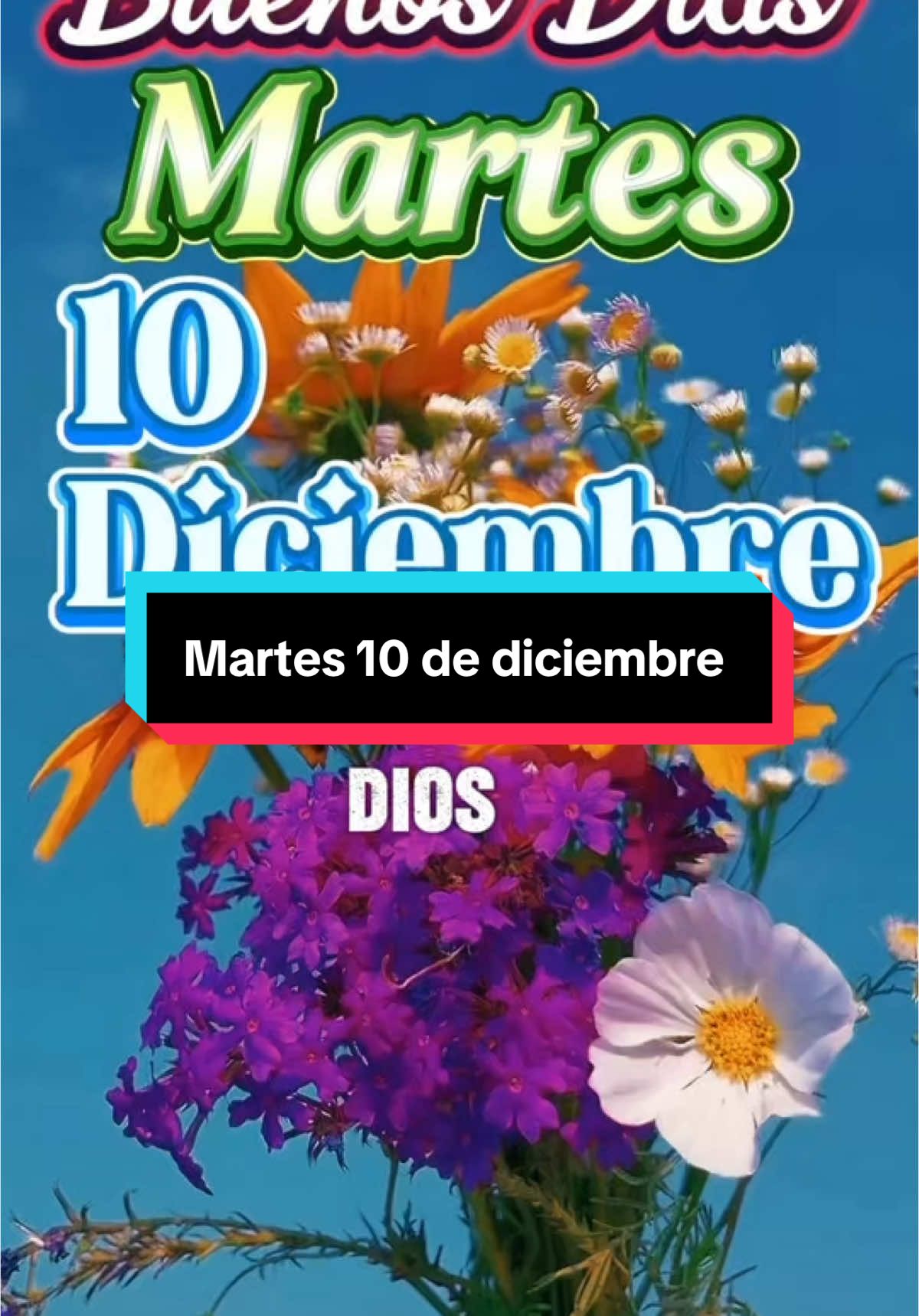 Dios el martes llego padre y hoy 10 de diciembre comienzo mi dia agradeciendote señor#oraciondelamañana #martes #10dediciembre #buenosdias #bendiciones 