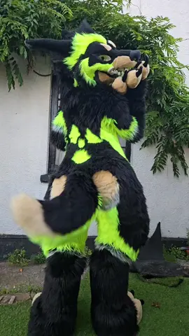 Can't touch this😈🐊 #furry #fursuit #fyp 