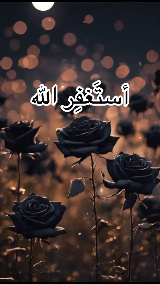 #اذكروا_الله #لا_إله_إلا_الله #استغفرالله #استغفرالله_واتوب_اليه_من_كل_ذنب_عظيم #حركة_إكسبلور #videoviral #foryou #foryoupage #VoiceEffects 