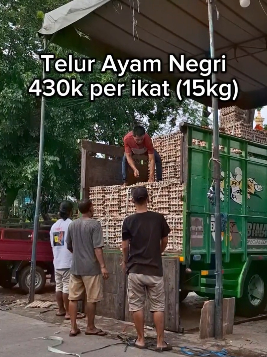 update harga Ayam telur Negri 10 Desember 2024 Hubungi kami⬇️ WA +6281387612608 wa.link/6rx2lv Lokasi https://g.co/kgs/V6bkjKt  #TikTokAwardsID #telur #agentelurjakarta #distributortelur #kramatjati #jakartatimur 