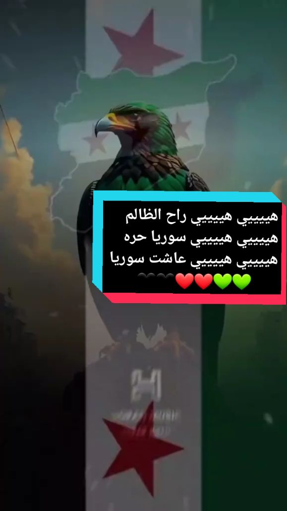 هييييي هييييي راح الظالم هييييي هييييي سوريا حره✌💚 هييييي هييييي عاشت سوريا✌💚❤🖤 #مالي_خلق_احط_هاشتاقات🧢 #سوريتي_هويتي#سوريا_حره#fyp #الشعب_الصيني_ماله_حل😂😂   