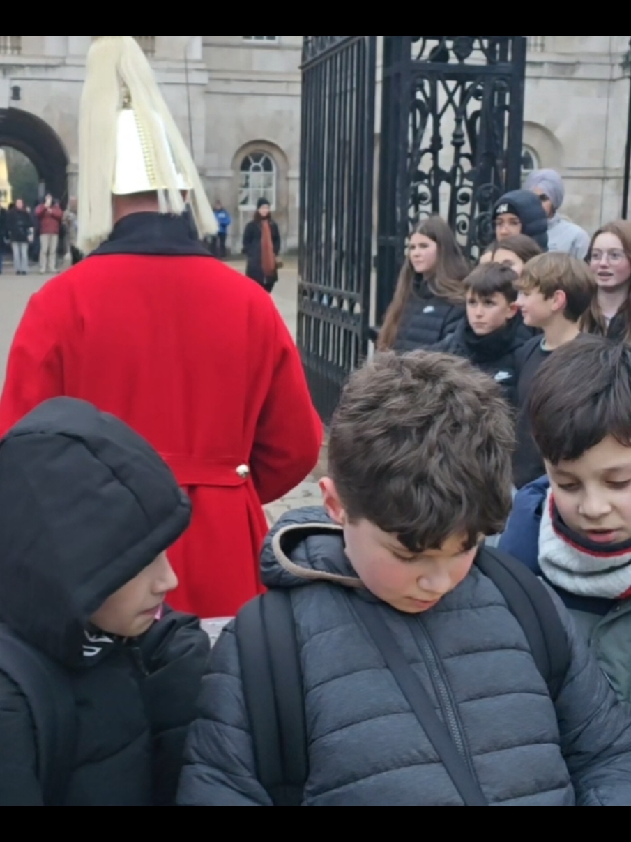 Totally oblivious 😆 🤣 😂 #london #kingsguard #horse #tourist #horseguardsparade 