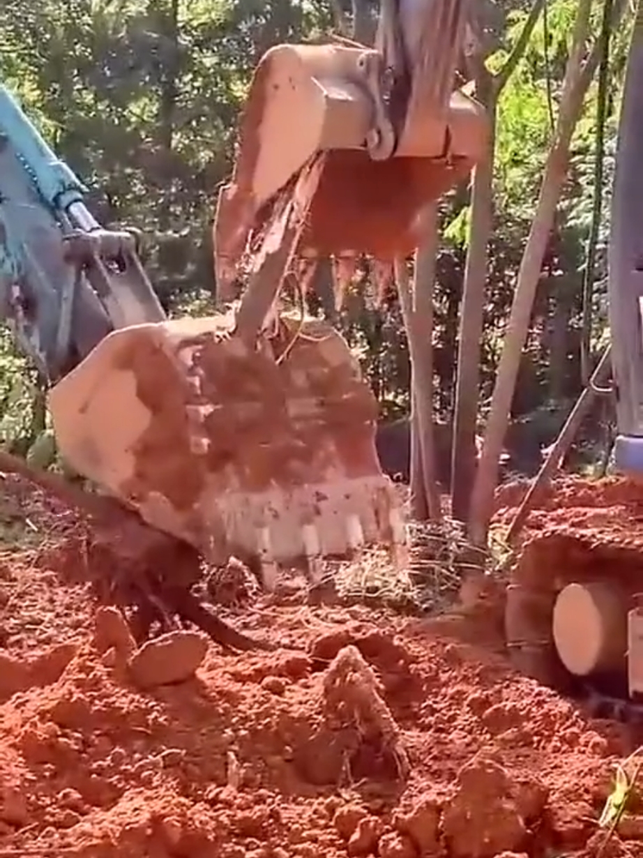 #satisfying #machines #in #action 