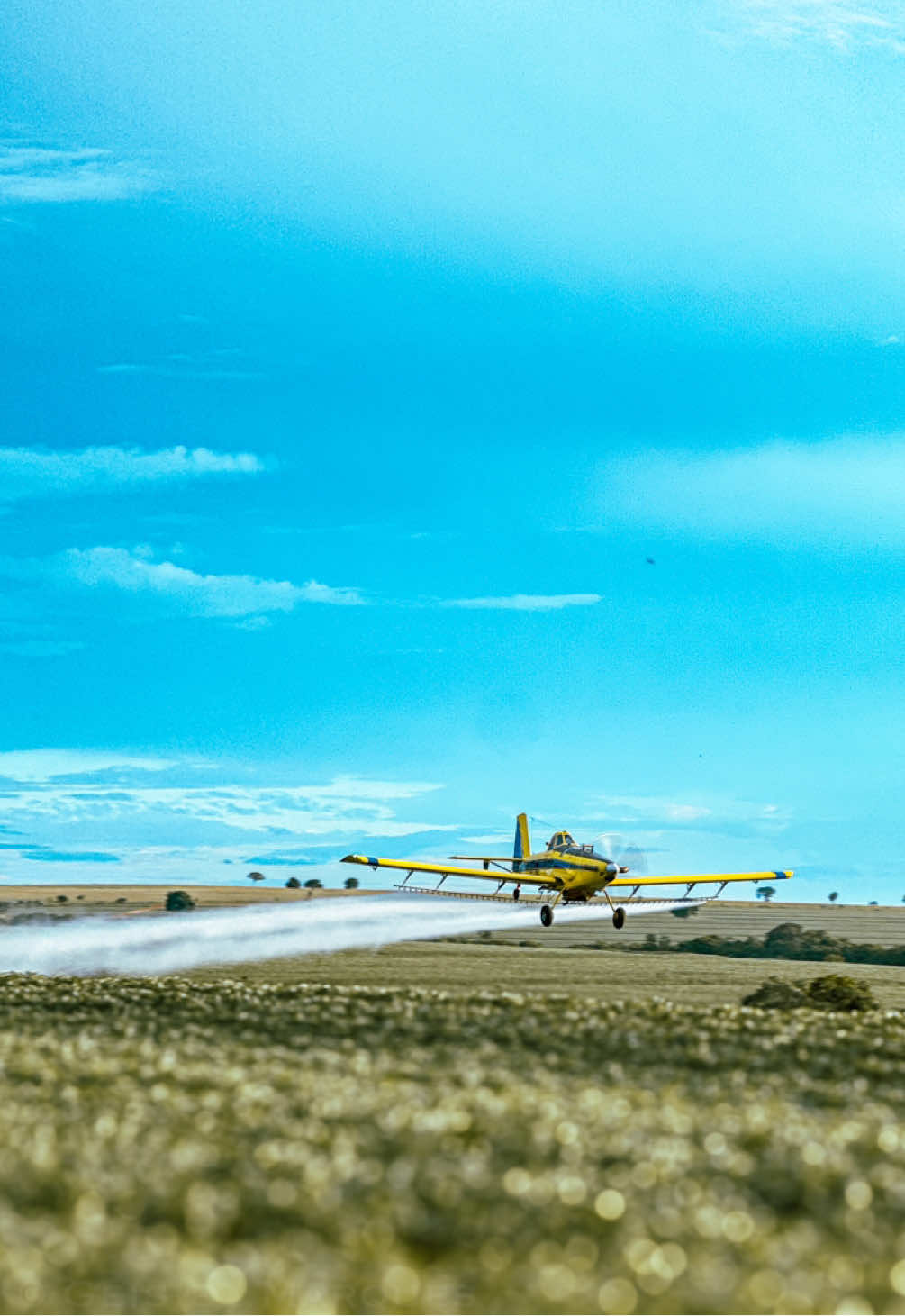 Voando baixo… 🌱✈️ Pensa no trem bruto… . . . . . .. . . #airtractor802 #aviation  #agro #agriculture #soja #fypシ゚viral #fyyyyyyyyyyyyyyyy #aviacao @Renan Baumgratz 