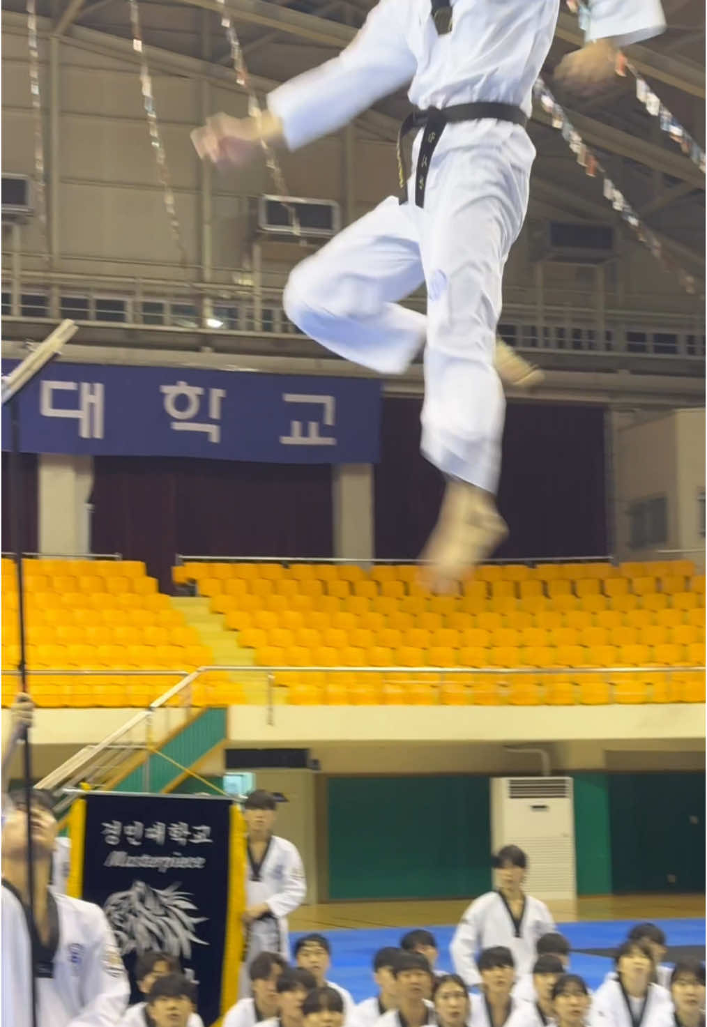 경민대학교 태권도 시범단과 격파 ASMR🎙️ Kyungmin University Taekwondo Demonstration Team and wooden board ASMR🎙️ . . . #경민대학교 #킥찬 