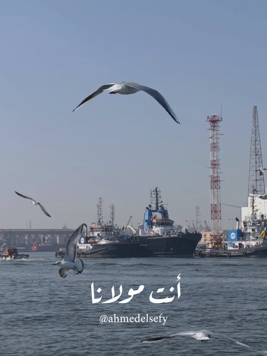 #fyp #cinematography #photography #portsaid #VoiceEffects #pourtoi #quran #تصويري #أحمد_الصيفي #explore 