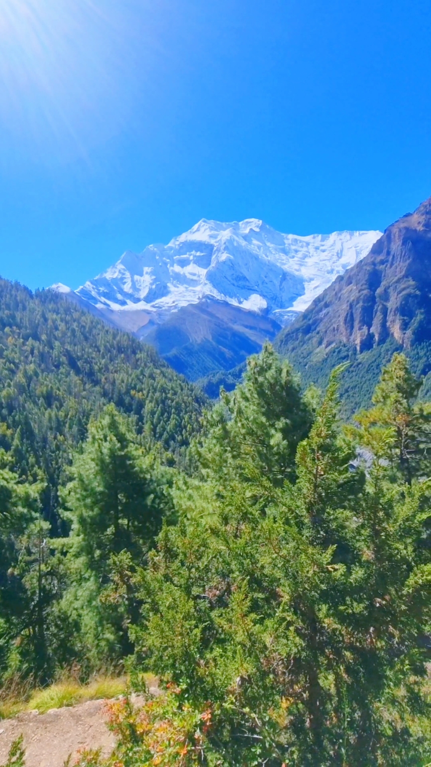 Experience the Majestic Peaks and Scenic Beauty of Nepal: A Once-in-a-Lifetime Journey Through the Annapurna Circuit Trek More info do chek out https://www.miracletreks.com/trips/annapurna-circuit-trek-with-tilicho-lake [email&#160;protected] what's app +977-9860954475. #thoranglapass #tilicholake #reels #annapurnacircuit #annapurnacircuittrek ##miracletreks #foryou #fyp #ilovehiking #traveller #backpacker #traveller #backpacker #nepal #nepalitiktok #nepaltravel