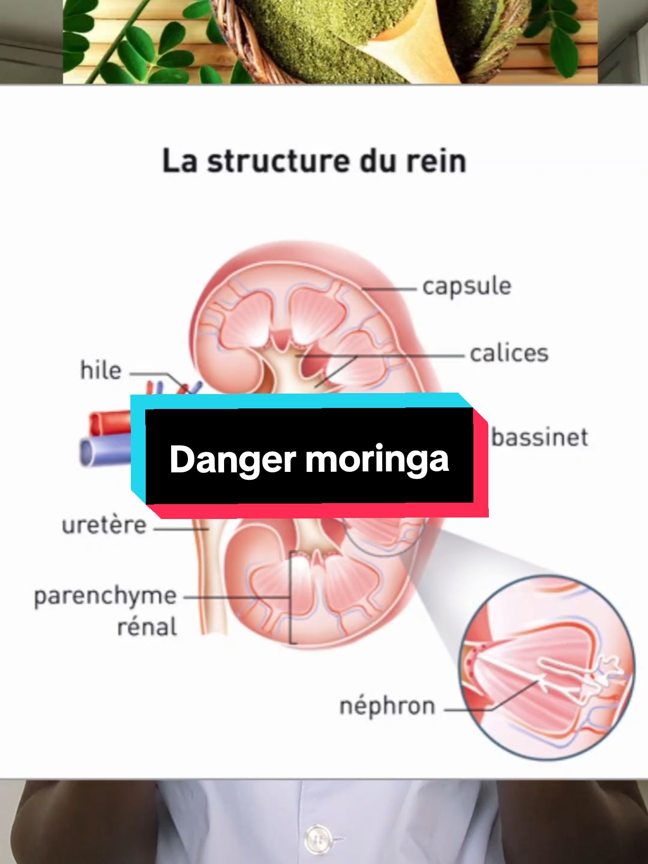 Dangers poudre de moringa communément appelé nebeday ou never die. #moringa #sante #pourtoi @AgroLab_spam @Médecin Conscient ❄️🧠 @🅲🅾🅼🅿🆃🅰🅱🅻🅴 du peuple @Called Maryam☀️ @Mariame Gueye 