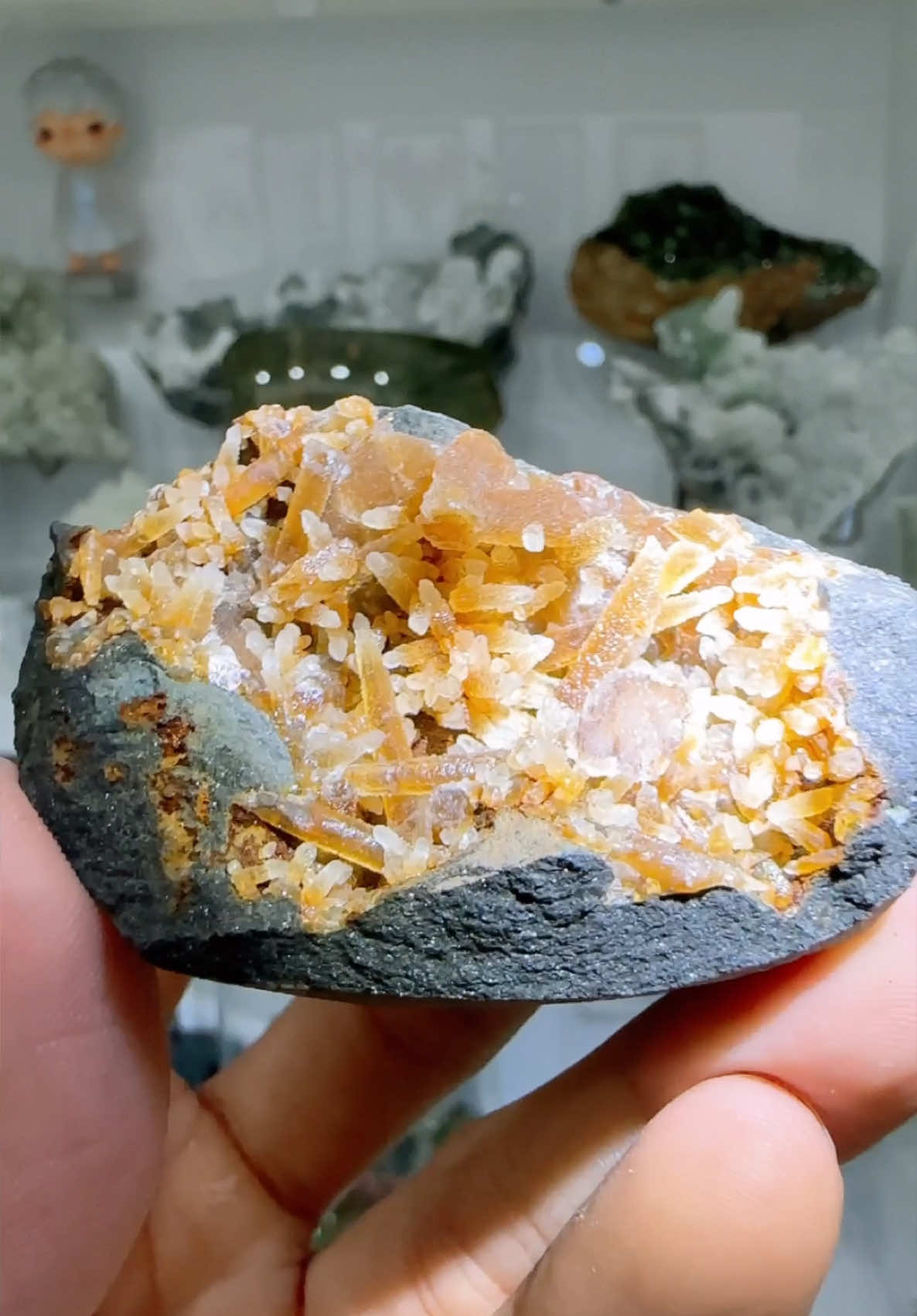 Yellow Calcite cluster - Fujian 515k 📍𝗧𝗜𝗞𝗧𝗢𝗞 : Wangeotinhthe 📍𝗜𝗚 : wangeotinhthe_13 📍𝗙𝗕 : Wang eo tinh thể ___________________________ #Wangeotinhthe  #fluorite #fluoritequartz #calcite #quarztones #crystals #quartzcrystal #calcitecrystals #crystalhealing #quartz #xuhuong #videotrending #crystalsoftiktok #chalcedony #fyp #fypシ゚viral  #crystalhealingenergy #danangluong  #veracruz #dioptase #greenquartz #redquartz   #fluorite #đáphongthủy #crystalhealing #crystal #crystaltiktok #crystalcastles #crystalfluorite #stone #CapCut #xuhuong #LearnOnTikTok #healingtiktok #Gemstone #Gem