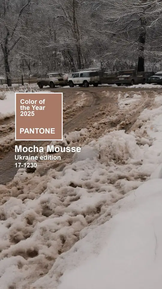 #pantone #pantone2025 #mochamousse #pantonemochamousse #пантон #пантон2025