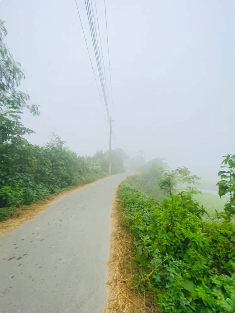 শীতের সকাল মানেই, গ্রামের জীবনে এক অন্যরকম অনুভূতি..!!🥶🫶🏻🩵#প্রকৃতি #প্রকৃতির_অপূর্ব_সৌন্দর্য#foryoupage #fyppp #ownvoice 