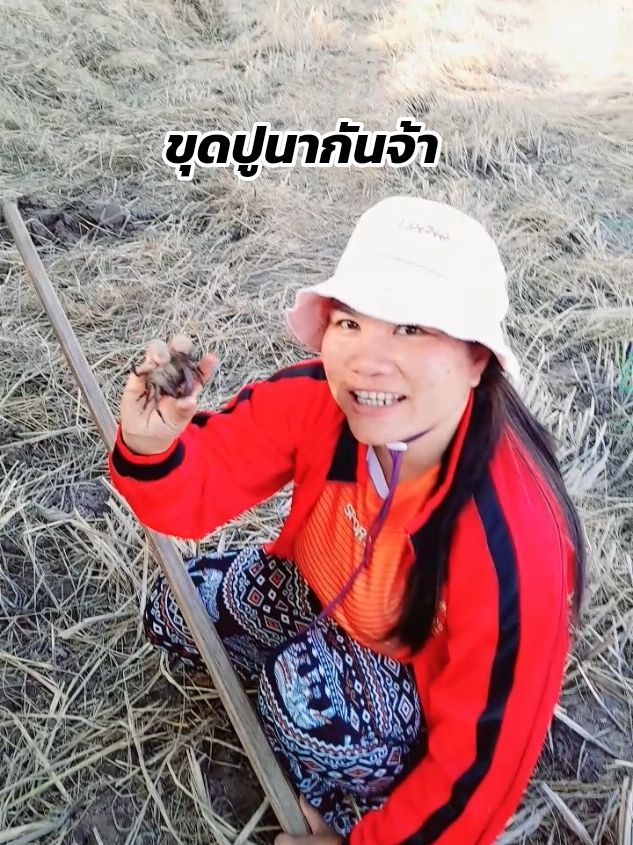 อยากกินปูนาต้องไปหาเอง#แม่แป้งขายของถูก #วิธีขุดปู#ขุดปูนา #ชีวิตคนอิสานบ้านเฮา 