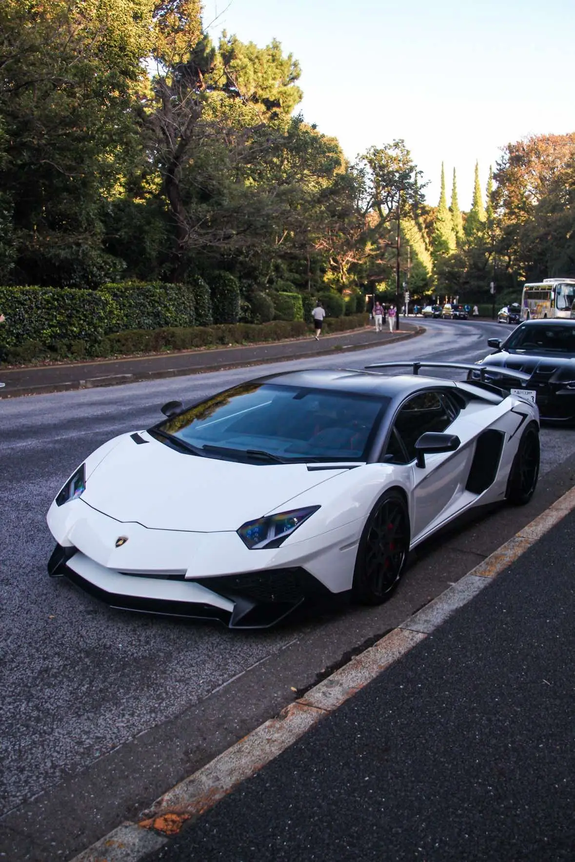 納車してからすぐトラブル😇 #lamborghini #aventadorsv 