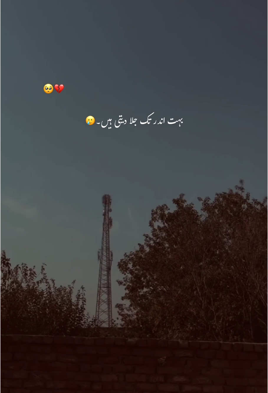 🫠🦋🥺 جلا دیتی ہے #foryoupage #foryou #trending #aesthetic #grow #account #poetrystatus #hehe_feroz 