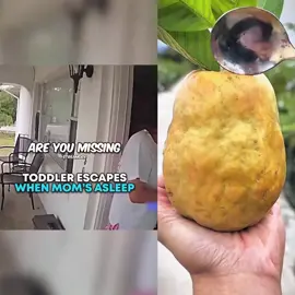 Toddler ESCAPES When Mom’s Asleep 🤯