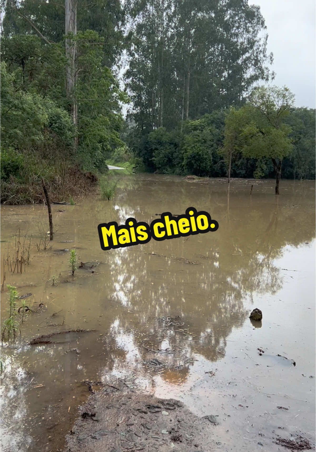 Os rios estão cada vez mais cheios.