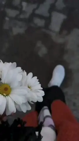میں مر نہ جاویں تاں کافر آکھیں ❤️👀 . . . . . . #trendingsong #trendingvideo #foryoupage #punjabi #trending #trendingtiktok #foryou #viral #treanding #saraiki #funny #foryoupageofficial #saraiki__status #foryoupageofficiall #fyppppppppppppppppppppppp #foryoupage❤️❤️ #foruyou #fyp #viralvideos #for
