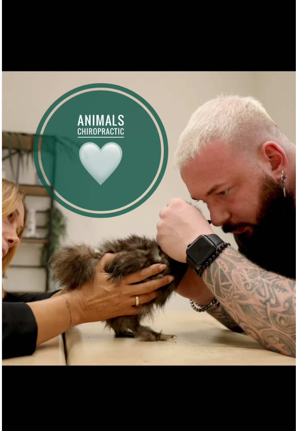 Animals with back pain 🥹🥹 • • • #foryou #asmr #animals #tiere #chiropractortiktok #türkiye #hundevideos #chiropractic #help #dogsoftiktok #Love 