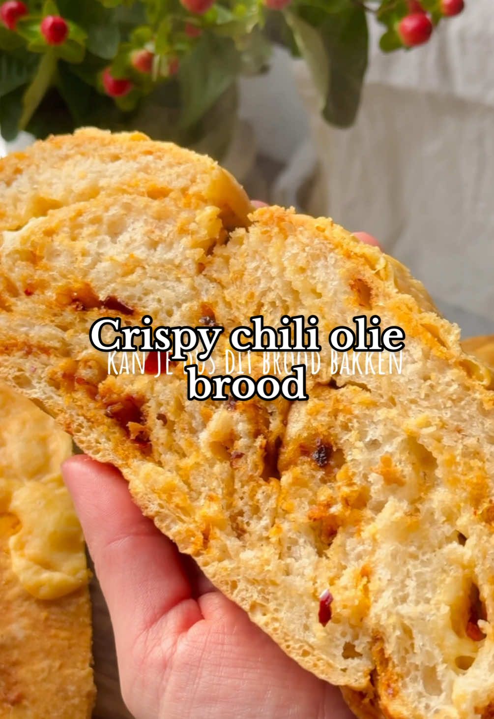 CRISPY CHILI OLIE BROOD! 🌶️  WIN-ACTIE LOOPT ALLEEN VIA MIJN INSTA!   Wat heb je nodig?  🌱 500 g tarwebloem  🌱 7 g gedroogde gist  🌱 300 ml lauwwarm water (niet te heet!)  🌱 1 tl zout (10 g)  🌱 1-2 el crispy chili olie  🌱 150 g geraspte belegen kaas + extra kaas voor de bovenkant  🌱 gietijzeren braadpan   Meng de gedroogde gist met het water en laat dit 3 minuten staan. Doe de bloem en zout in een diepe kom en giet hier de geactiveerde gist bij. Meng dit door met een deeggarde of lepel tot je een vast deeg hebt. Dek af met een schone theedoek en zet 30 minuten weg op kamertemperatuur. Voer nu je eerste stretch & folds uit. Maak je hand nat en pak het deeg beet. Trek het deeg al wiebelend omhoog, vouw het naar de overkant, draai de kom een kwartslag en herhaal dit tot je alle vier de hoeken hebt gehad. Dek het deeg hierna weer af met de theedoek en laat het 20 minuten staan. Herhaal dit nog een keer, dus: 4 stretch & folds + 20 minuten rusten. Voeg hierna de crispy chili olie toe en kneed dit met je hand door het deeg. Dek de kom hierna af met plasticfolie (want de olie vlekt) en laat het minstens een uur rijzen op kamertemperatuur (+ 21 C). Het deeg moet minstens zijn verdubbeld in grootte en je wil het liever wat langer laten rijzen dan te kort. Verwarm ondertussen de oven op 250 graden en zet hier de braadpan in, met de deksel op een klein kiertje. Haal het deeg uit de kom op een werkblad en trek het voorzichtig wat platter (zie video). Doe de kaas in het midden en vouw het brood dicht. Draai het om en vorm het met je handen tot een rondere vorm. Leg het brood op bakpapier, dek het nog een half uur af. Maak vervolgens een diepe insnede in de bovenkant van het brood met een scherm mesje. Til het brood met bakpapier en al in de voorverwarmde pan. Bak het brood 25 minuten op 250 graden met de deksel op de pan. Haal hierna de deksel van de pan. Verdeel de rest van de kaas over de bovenkant en bak het brood nog 15 minuten op 220 graden. Laat het hierna nog 20 minuten in de uitgezette oven staan met de deur op een kier. Snijd het brood aan als het grotendeels is afgekoeld. Eet smakelijk! #veggilaine #crispychiliolie #brood #broodbakken #vjp #voorjou 