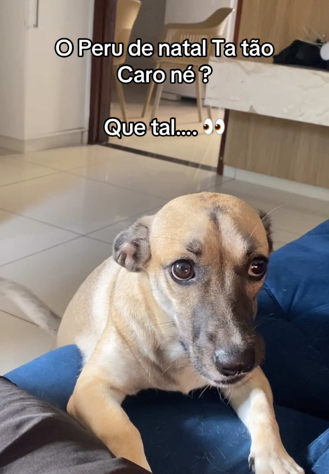 Hmm. Sopa de lobo 😍  #picapau #cachorro #viral_video 