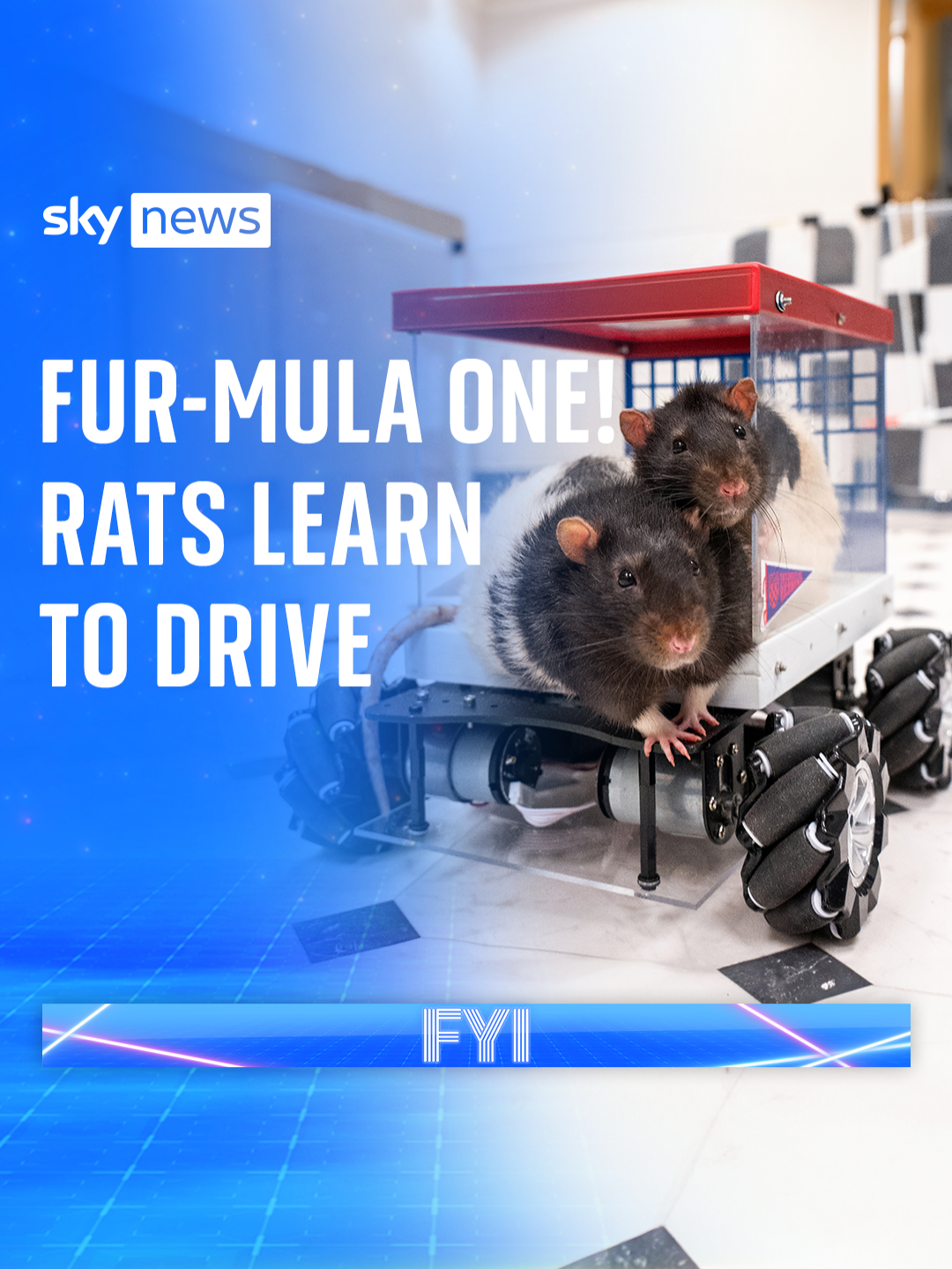 Scientists in the USA have taught rats to drive little cars and discovered that they enjoy it! #FYI #SkyNews #Science #USA #Rat #Cars