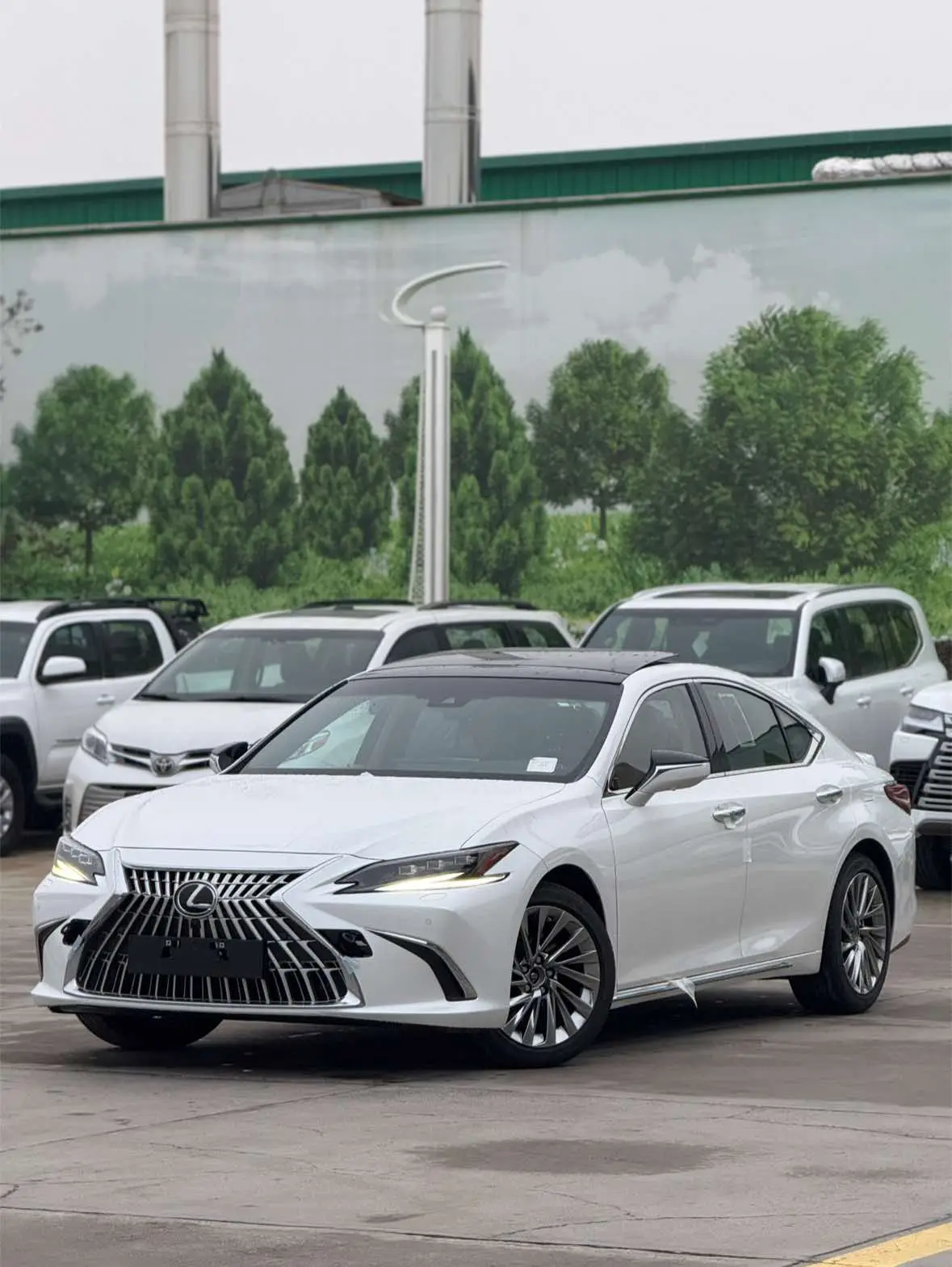 #LEXUS ES350#HALIJI YAGY BLN 2024.09# #KIA SENTR#turkmenistan🇹🇲 