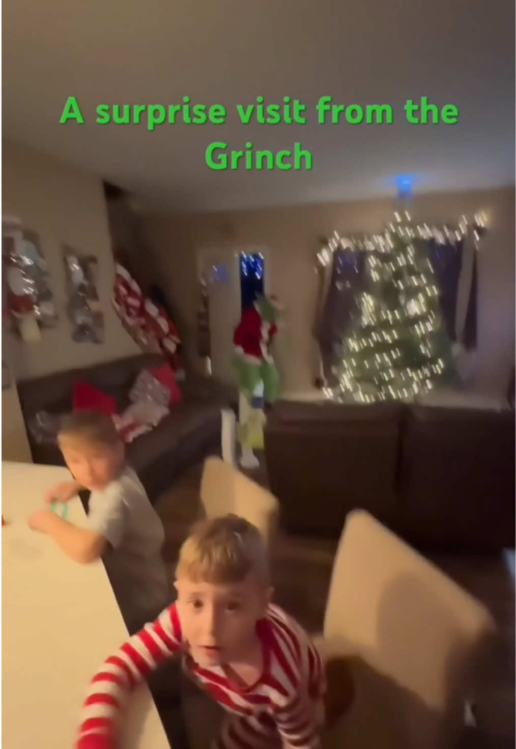 The Grinch makes an unexpected visit to scare the kids! Haha #thegrinch #grinch prank #prank #christmas #christmastree #decor #decorations #xmas #prank #kidstiktok #scared #scarecam #funny #fy #fyp #fyf #fff #foryou #foryoupage #fun #lol #jokes #makemefamous 