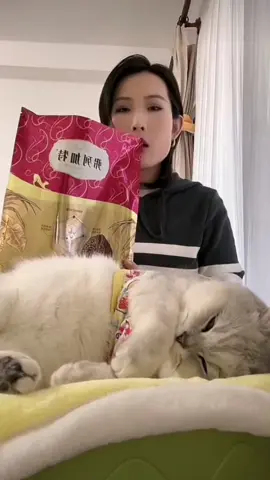 Buồn ngủ lắm rồi #meow #typ 